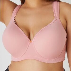NWT Blush Ashley Stewart Butterfly Bra